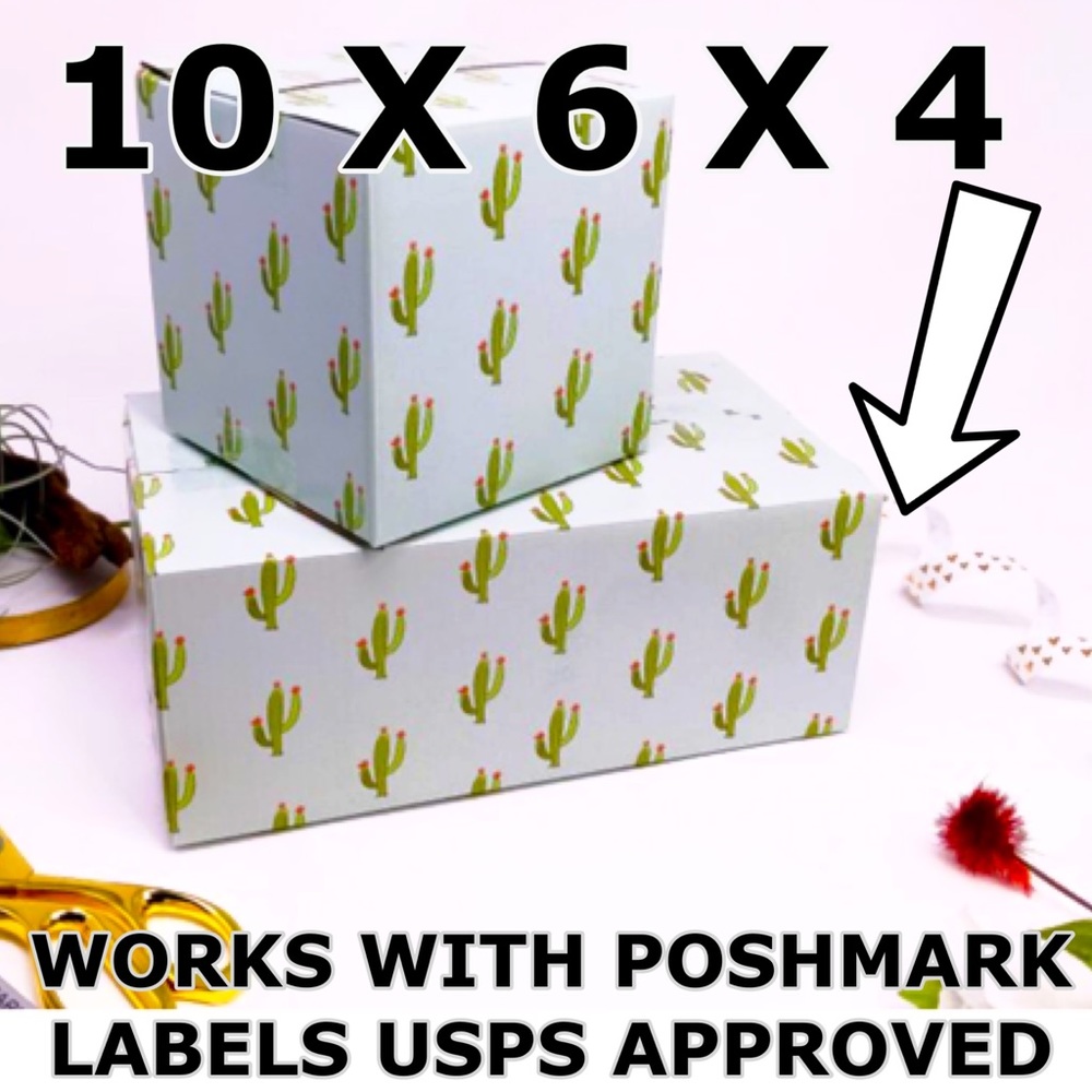 LAST SET ))) CLEARANCE 9 (10X6X4) Cactus Boxes - Picture 4 of 8